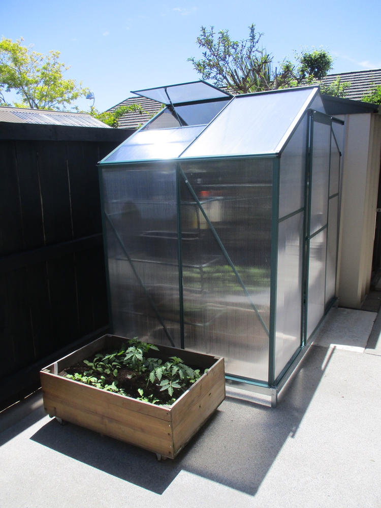 Greenhouse 6 x 4ft - Customer Photo From Irene Coulson
