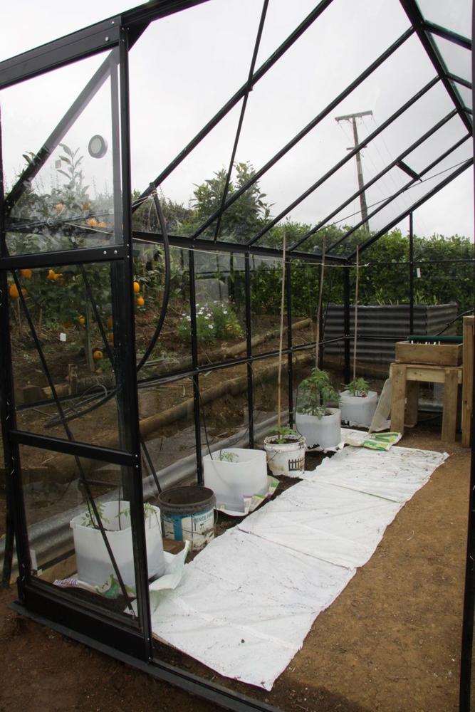Glasshouse 6x8ft 4mm Toughened Glass - Customer Photo From Gary