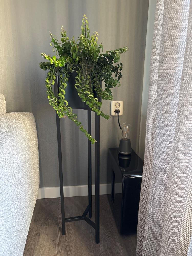 QUVIO Plantenstandaard inclusief pot - Metaal - 22 x 22 x 90 cm - Customer Photo From Sandra Triepels
