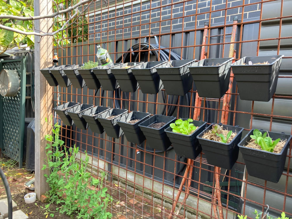 Wallgarden Multi Hang 20 Pot Vertical Garden Wall Kit - Customer Photo From Rita Keig