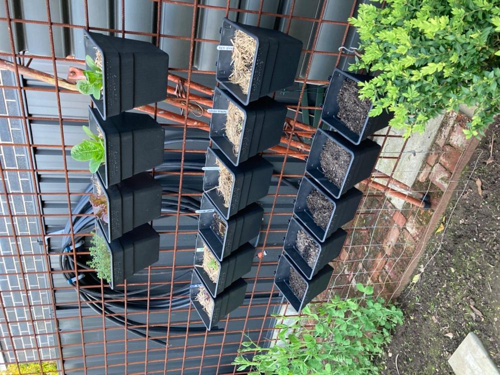 Wallgarden Multi Hang 20 Pot Vertical Garden Wall Kit - Customer Photo From Rita Keig