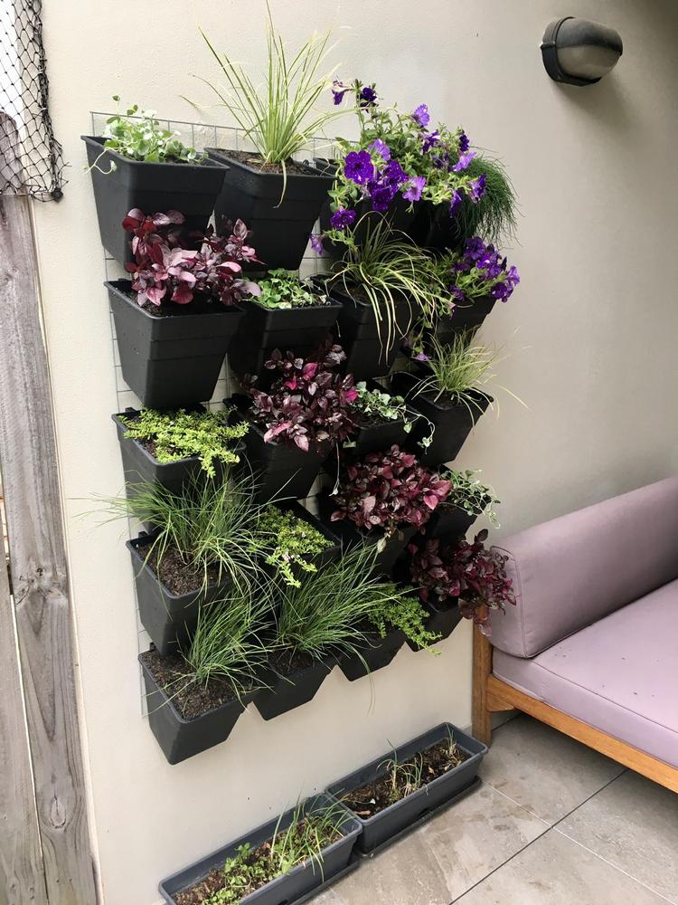 Wallgarden Multi Hang 20 Pot Vertical Garden Wall Kit - Customer Photo From Enhua Lee