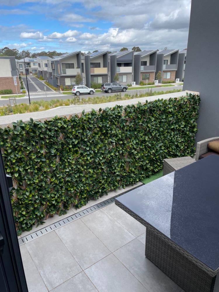 Artificial Laurel Extra Dense Expandable Trellis 2m x 1m UV Stabilised - Customer Photo From Robert Grima