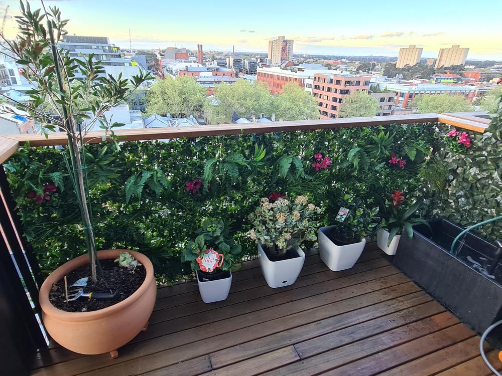 Artificial Jasmine Stem 25cm UV Stabilised - Customer Photo From Vic Testolin