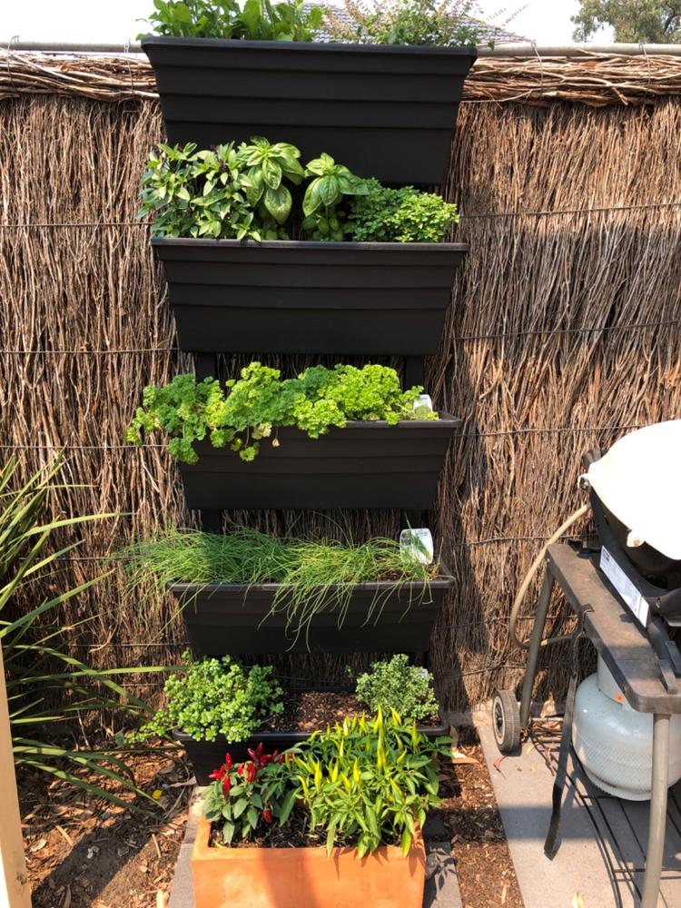 Wallgarden Original 5 Pot Vertical Garden Wall Kit - Customer Photo From Louise Fava