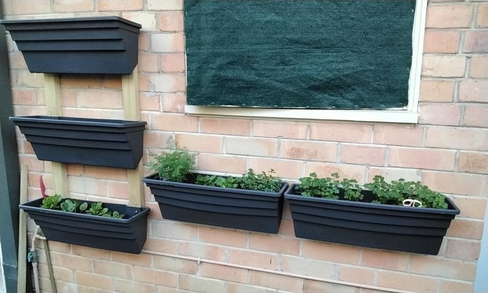 Wallgarden Original 5 Pot Vertical Garden Wall Kit - Customer Photo From JOHN ALDER
