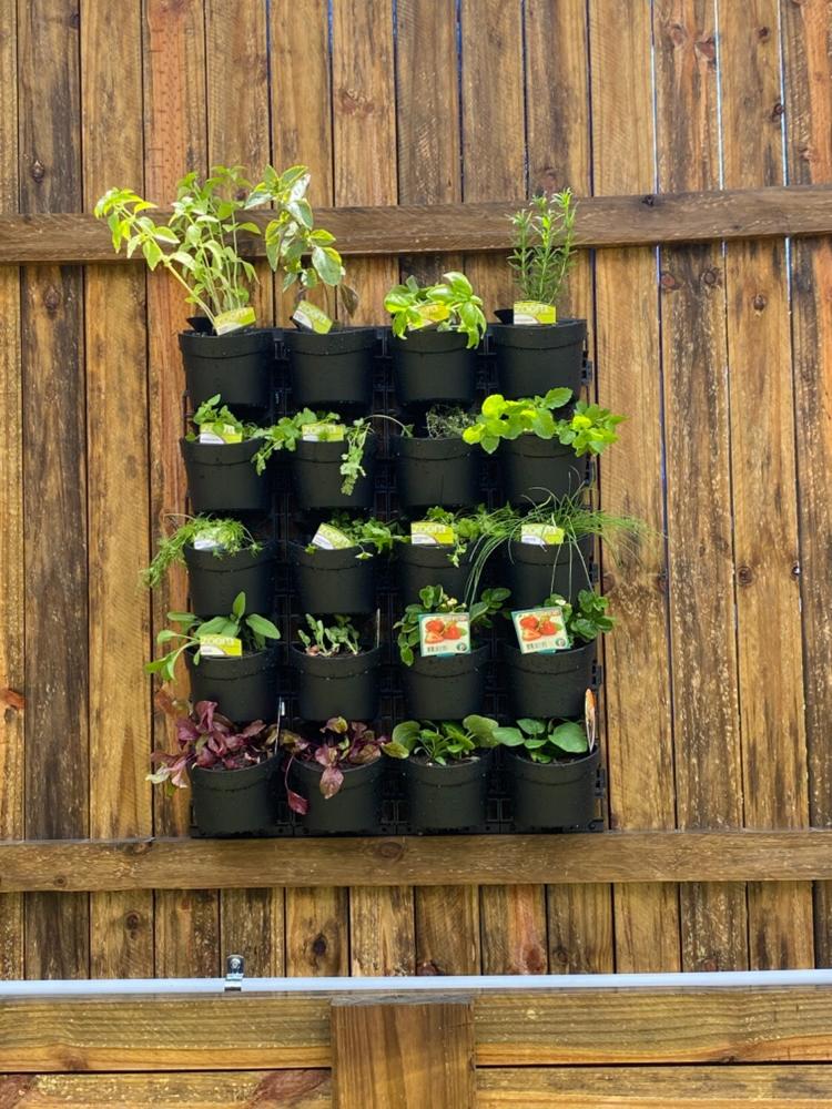 Maze Vertical Garden 20 Pot Wall Planter Kit - Customer Photo From Mark Masterton