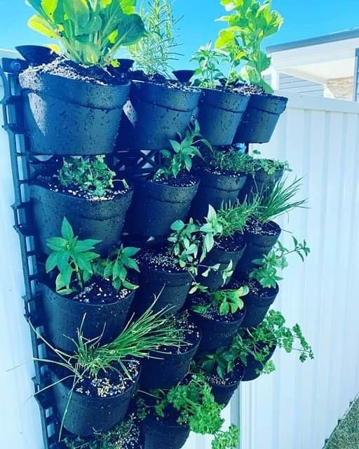 Maze Vertical Garden 20 Pot Wall Planter Kit - Customer Photo From Christie Durham 