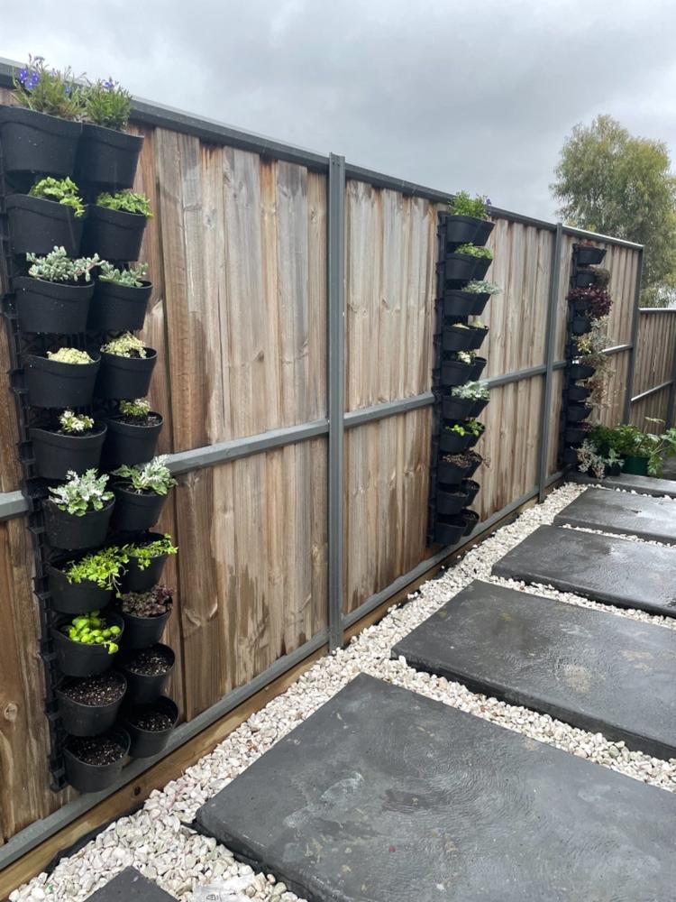 Maze Vertical Garden 20 Pot Wall Planter Kit - Customer Photo From Rosie Harbison