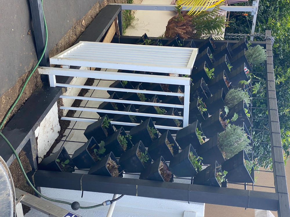 Wallgarden Multi Hang 50 Pot Vertical Garden Wall Kit - Customer Photo From Tracie Arnold