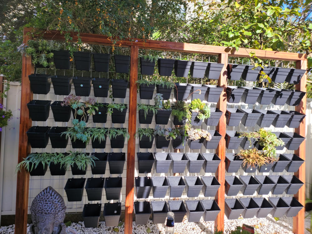 Wallgarden Multi Hang 50 Pot Vertical Garden Wall Kit - Customer Photo From AJ Lanyon