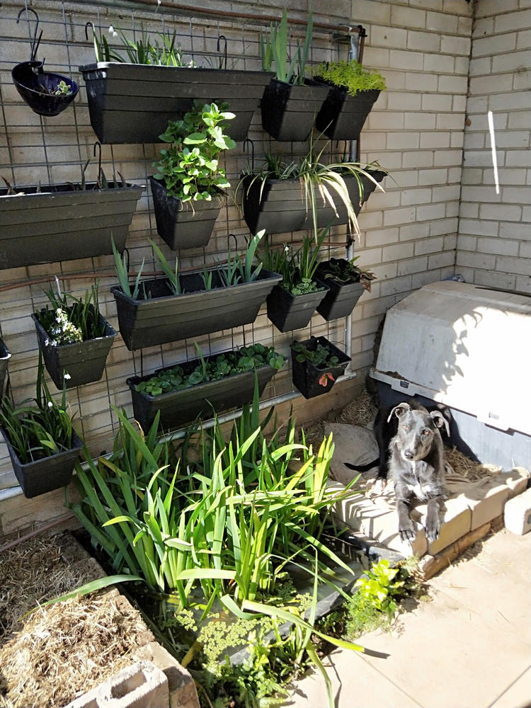 Wallgarden Multi Hang 50 Pot Vertical Garden Wall Kit - Customer Photo From Jane Tuckwell