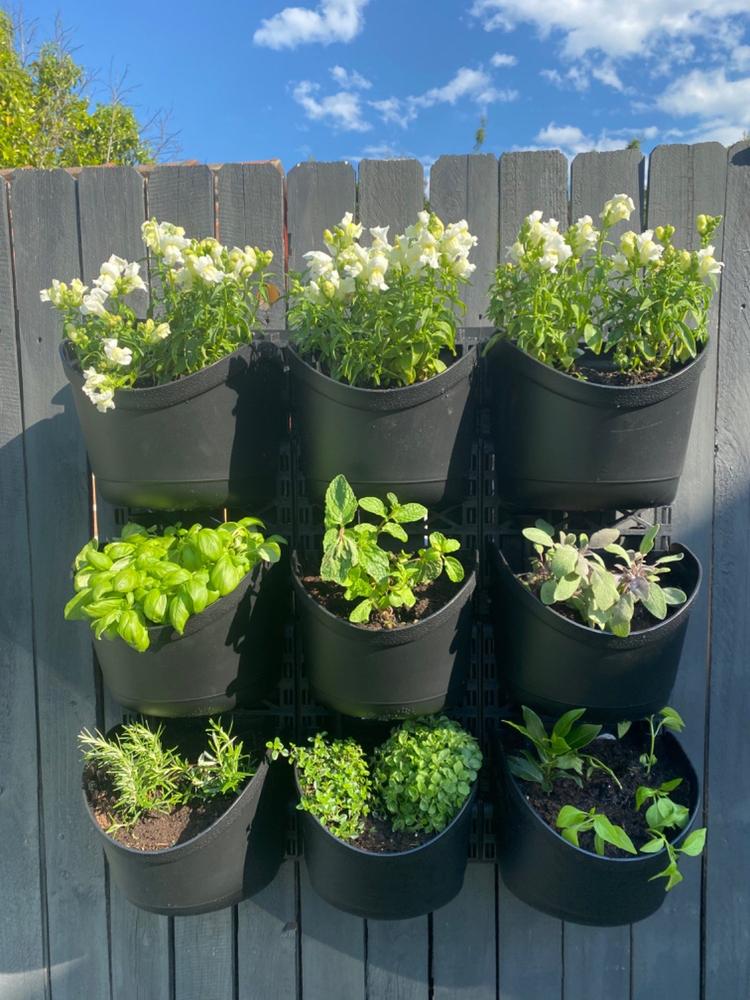 Maze Extra Large Vertical Garden 9 Pot Wall Planter Kit - Customer Photo From Rachael Looney