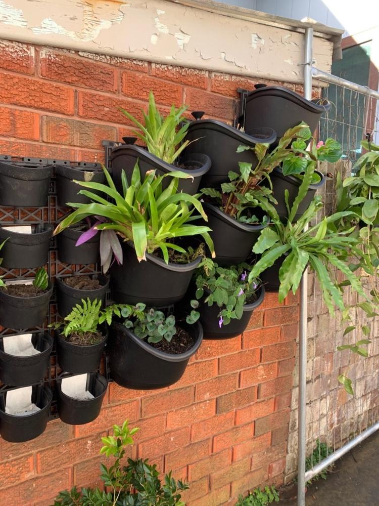 Maze Extra Large Vertical Garden 9 Pot Wall Planter Kit - Customer Photo From Pam Burrows