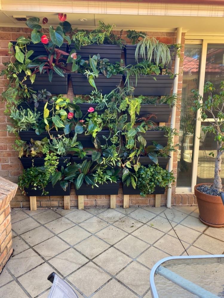 Wallgarden Original 10 Pot Vertical Garden Wall Kit - Customer Photo From Kerri Callow