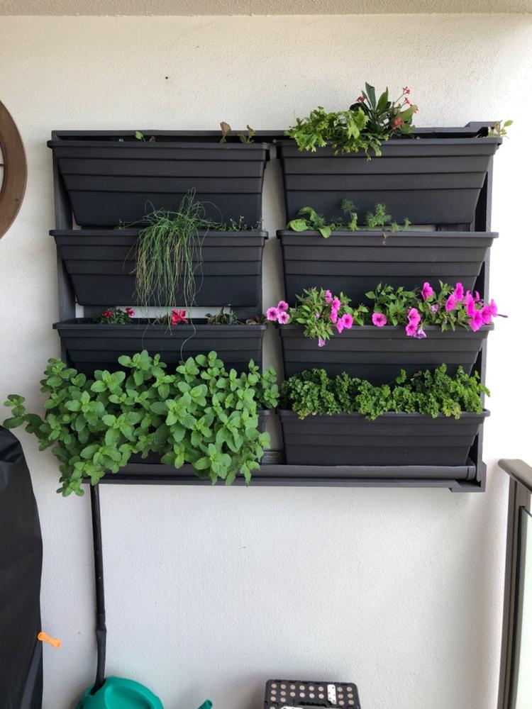 Wallgarden Original 10 Pot Vertical Garden Wall Kit - Customer Photo From Roy M.