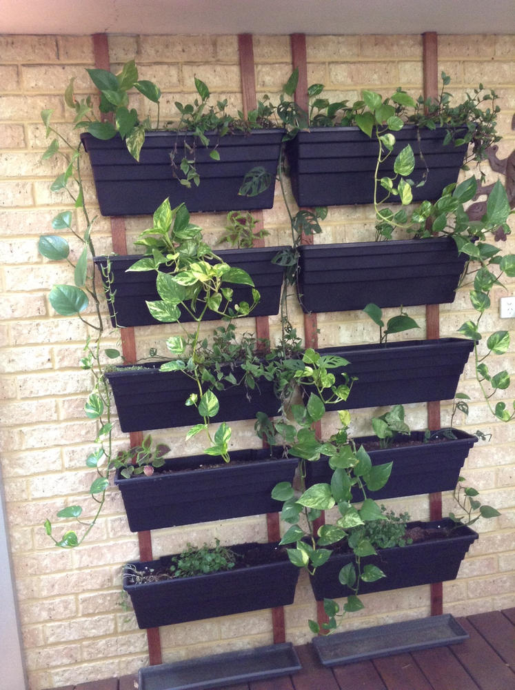 Wallgarden Original 10 Pot Vertical Garden Wall Kit - Customer Photo From Michael Emett