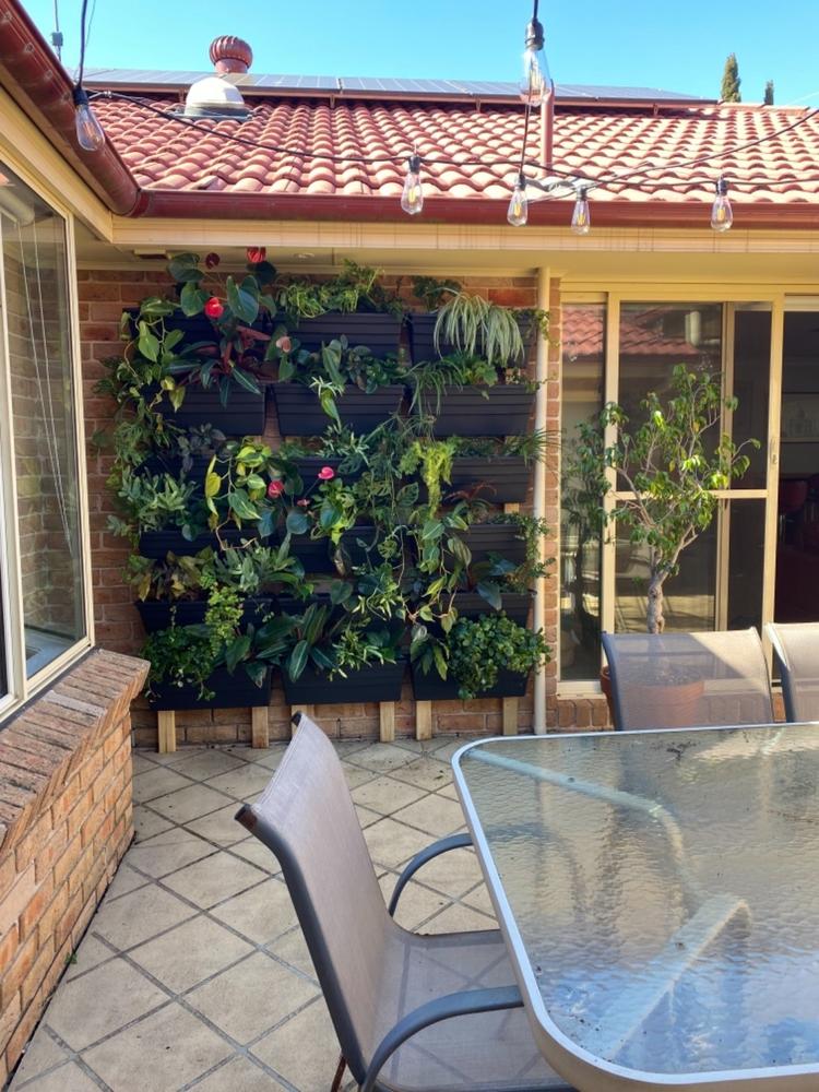 Wallgarden Original 10 Pot Vertical Garden Wall Kit - Customer Photo From Kerri Callow