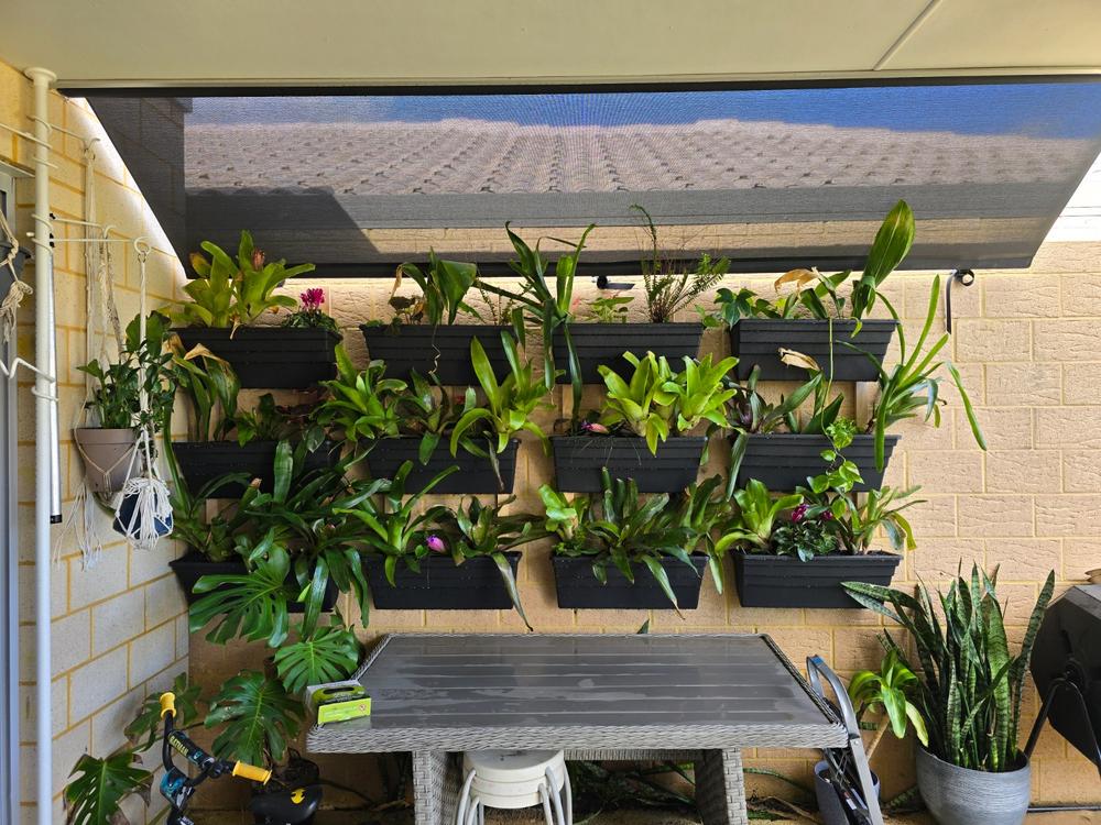 Wallgarden Original 10 Pot Vertical Garden Wall Kit - Customer Photo From Jami Hill