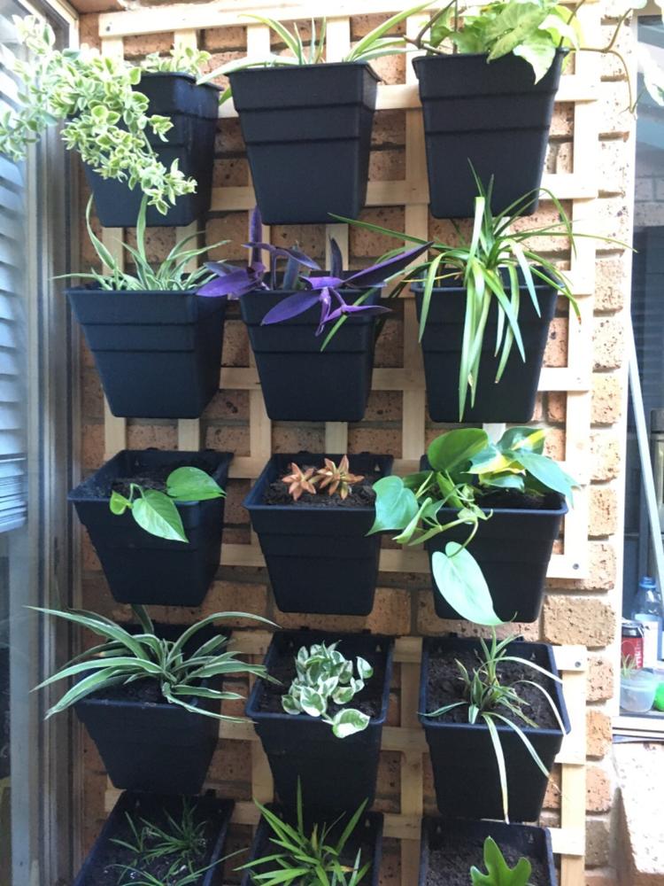 Wallgarden Multi Hang 10 Pot Vertical Garden Wall Kit - Customer Photo From Kelly C.