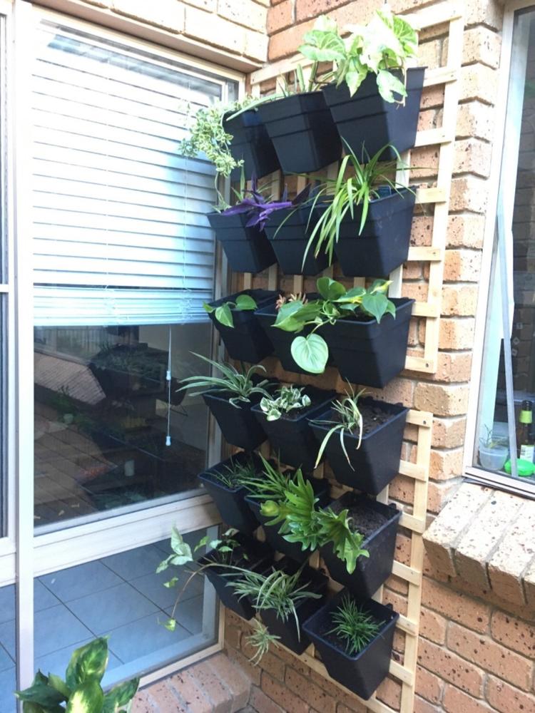 Wallgarden Multi Hang 10 Pot Vertical Garden Wall Kit - Customer Photo From Kelly C.