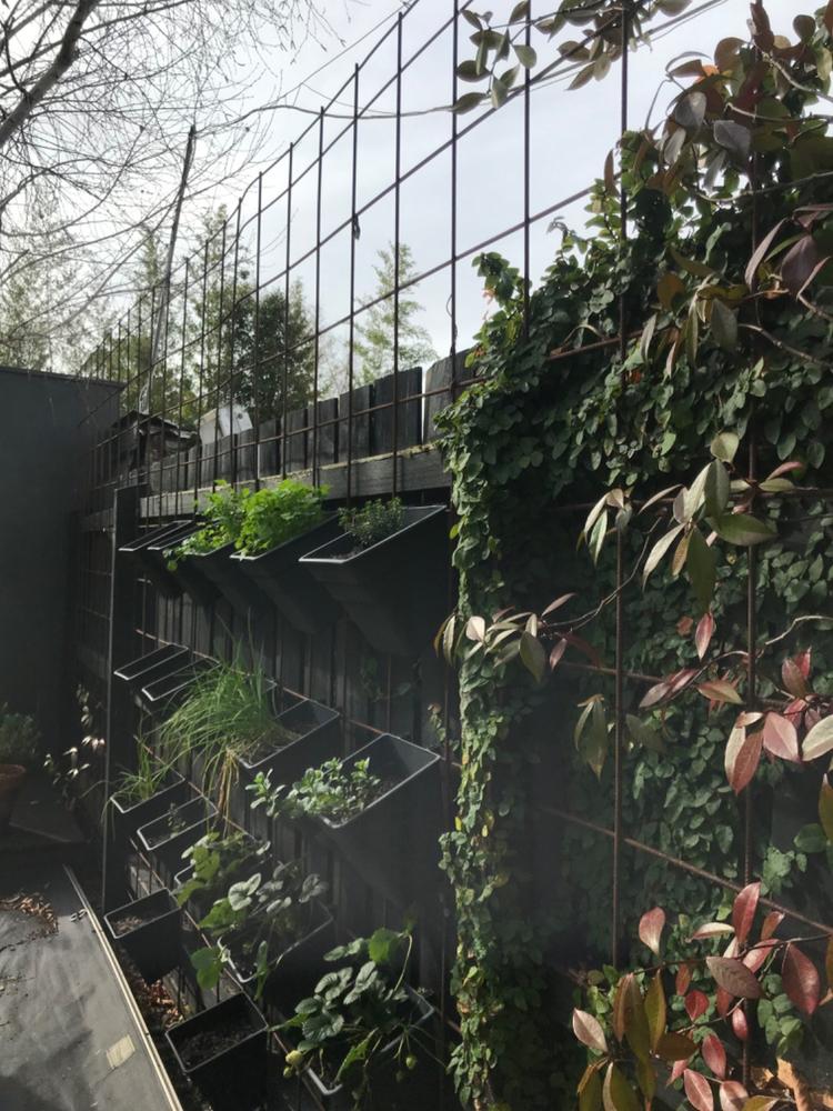 Wallgarden Multi Hang 10 Pot Vertical Garden Wall Kit - Customer Photo From Clare Ridgway-Faye