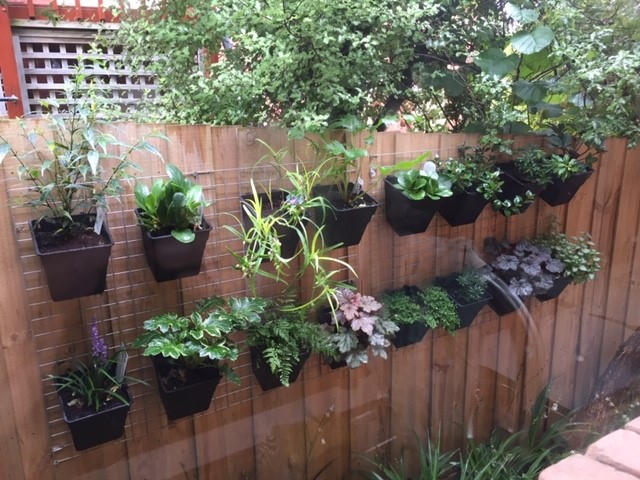 Wallgarden Multi Hang 10 Pot Vertical Garden Wall Kit - Customer Photo From Belinda Lee