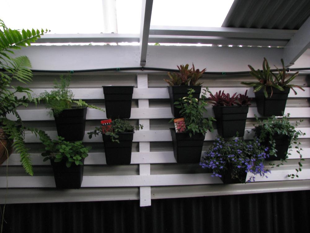 Wallgarden Multi Hang 10 Pot Vertical Garden Wall Kit - Customer Photo From Anne Boustead