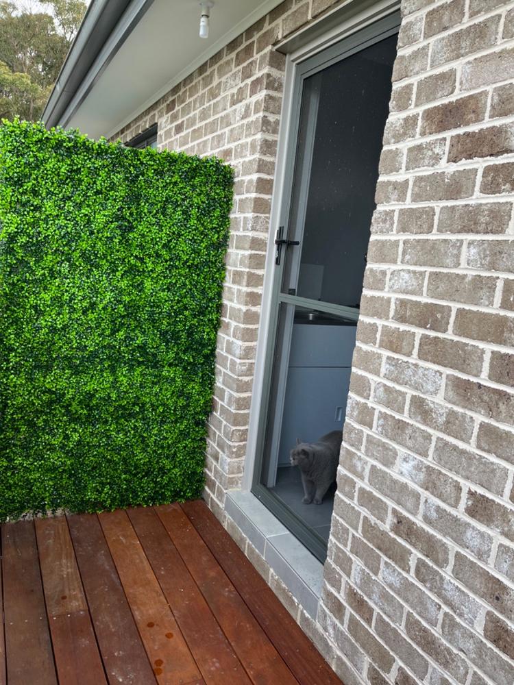 Artificial Deluxe Buxus Hedge Wall Panel 1m x 1m UV Stabilised - Customer Photo From Belinda Hooper 