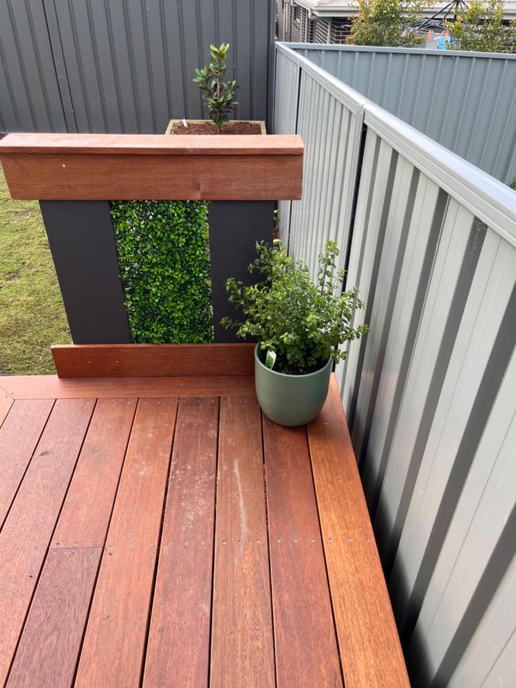 Artificial Deluxe Buxus Hedge Wall Panel 1m x 1m UV Stabilised - Customer Photo From Belinda Hooper