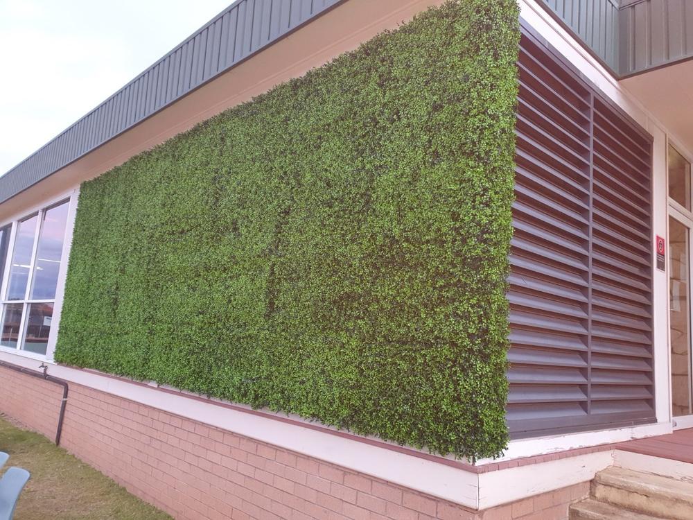 Artificial Deluxe Buxus Hedge Wall Panel 1m x 1m UV Stabilised - Customer Photo From Tony Fitzsimmons