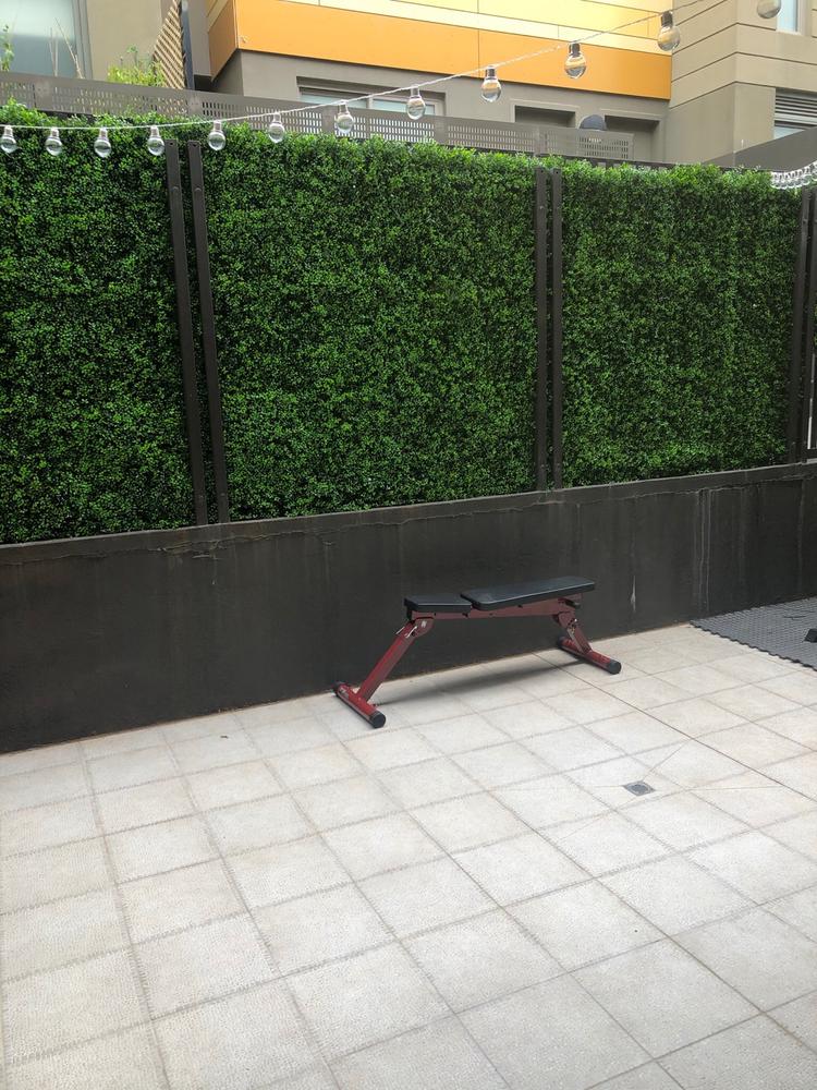 Artificial Deluxe Buxus Hedge Wall Panel 1m x 1m UV Stabilised - Customer Photo From Elisa Perry