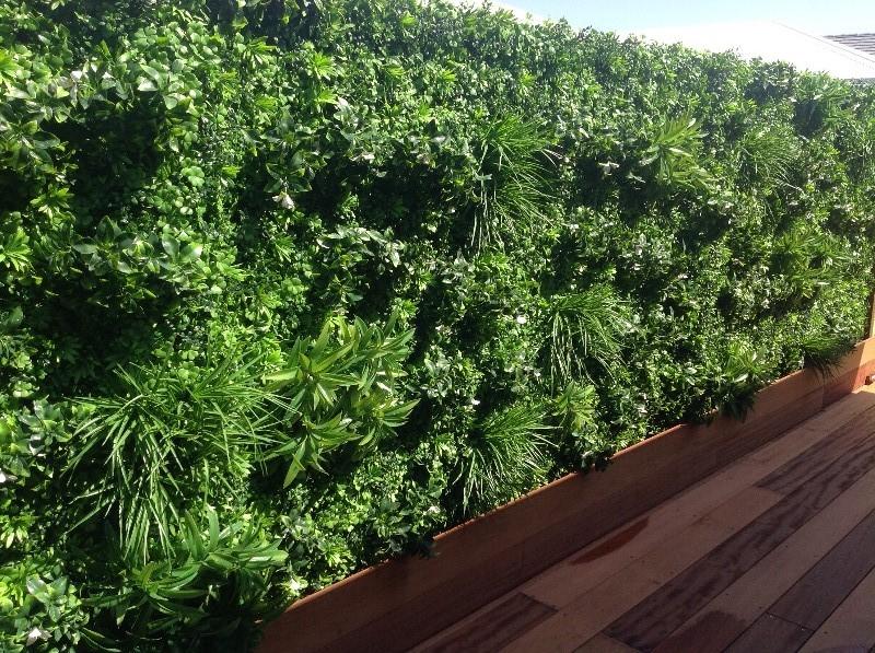 Artificial White Oasis Vertical Garden 1m x 1m Plant Wall Screening Panel UV Protected - Customer Photo From Jan G.