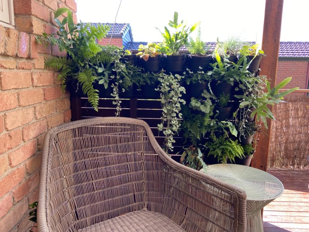 Maze Vertical Garden Wall Planter Kit - 25 Pots (78cm x 80cm) - Customer Photo From Emma Griffiths