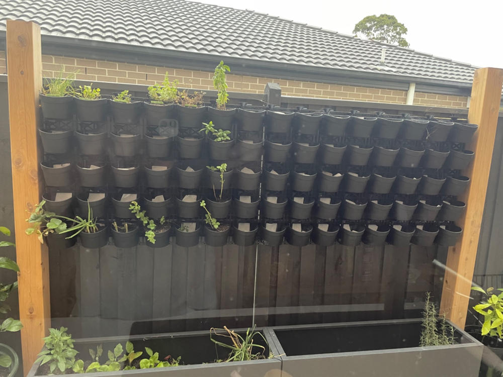 Maze Vertical Garden Wall Planter Kit - 25 Pots (78cm x 80cm) - Customer Photo From Leigh Halder