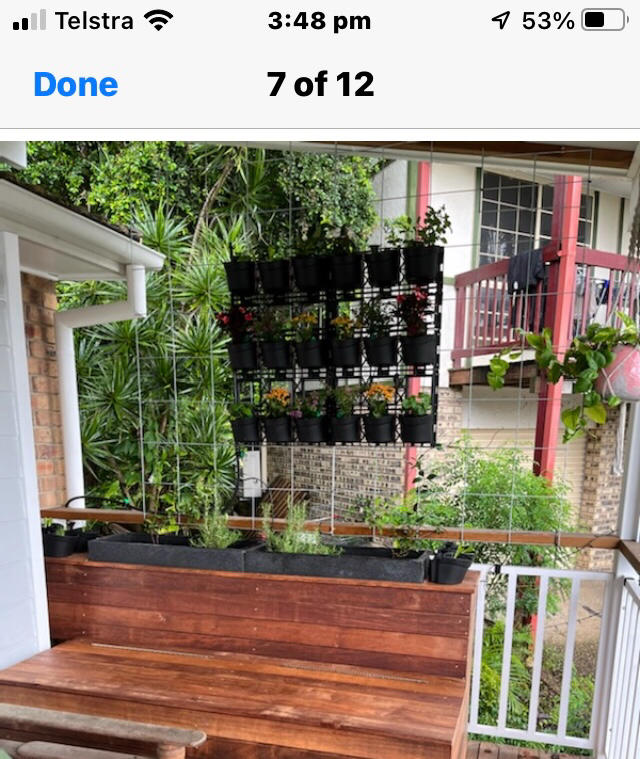 Maze Vertical Garden Wall Planter Kit - 25 Pots (78cm x 80cm) - Customer Photo From Susan Green