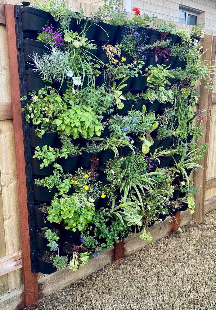 Maze Vertical Garden Wall Planter Kit - 25 Pots (78cm x 80cm) - Customer Photo From Meredith Francis