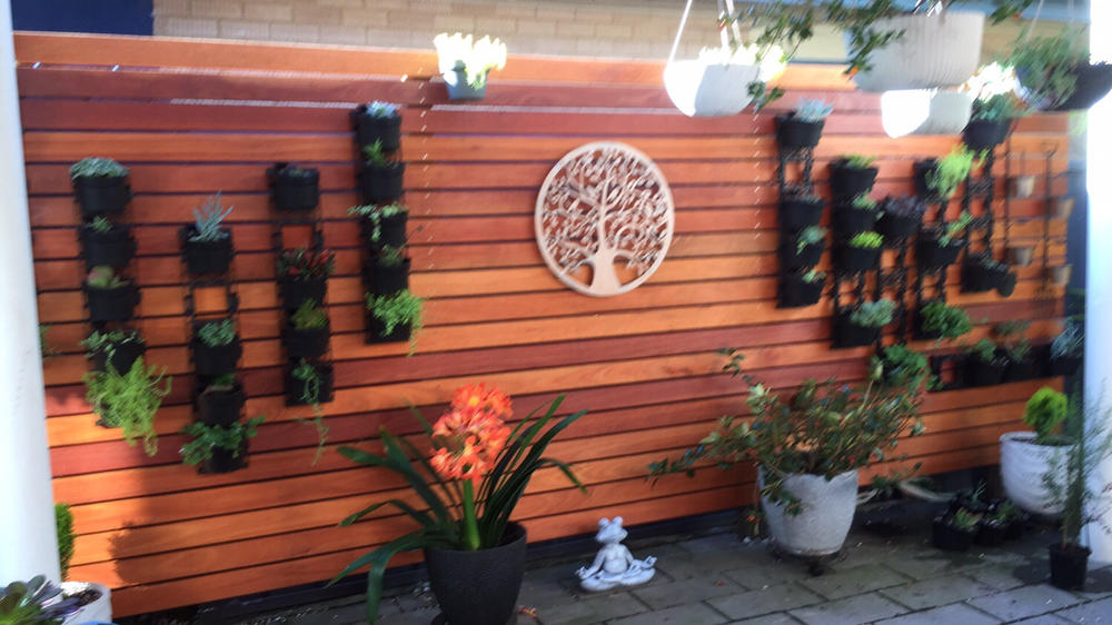 Maze Vertical Garden Wall Planter Kit - 25 Pots (78cm x 80cm) - Customer Photo From Sue Whitmill