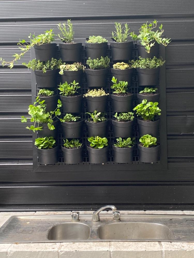 Maze Vertical Garden Wall Planter Kit - 25 Pots (78cm x 80cm) - Customer Photo From Deb Buckley