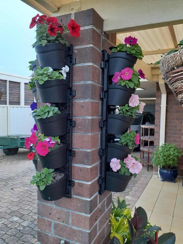 Maze Vertical Garden Wall Planter Kit - 50 Pots (78cm x 160cm) - Customer Photo From lillian clarke