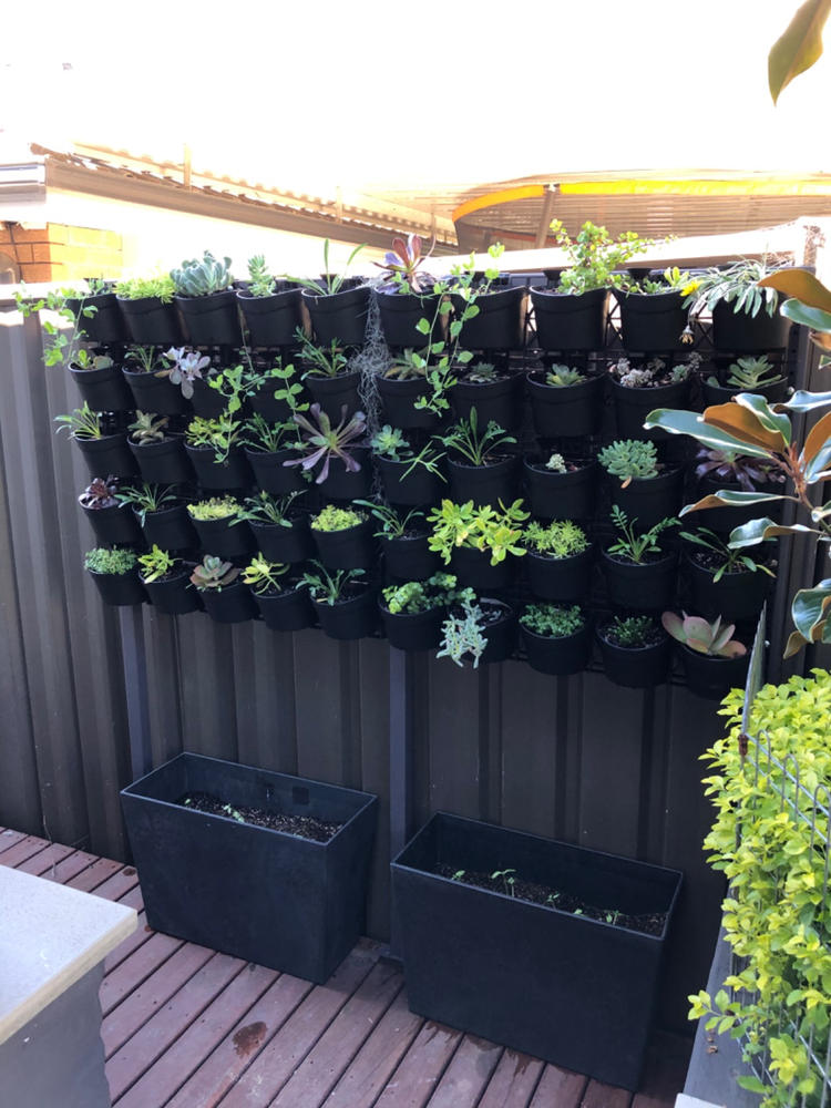 Maze Vertical Garden Wall Planter Kit - 50 Pots (78cm x 160cm) - Customer Photo From Jen Miller