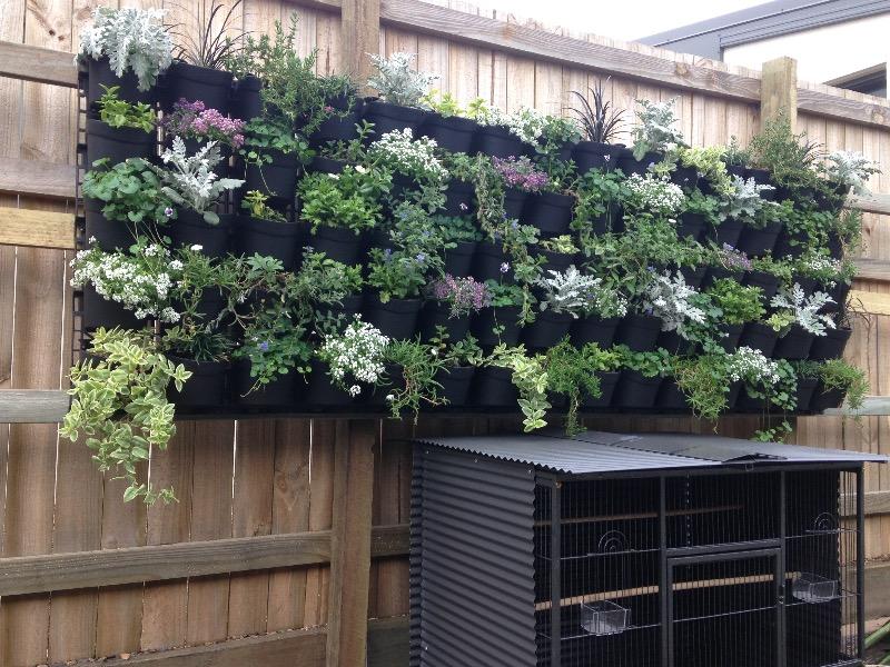Maze Vertical Garden Wall Planter Kit - 50 Pots (78cm x 160cm) - Customer Photo From Kate P.
