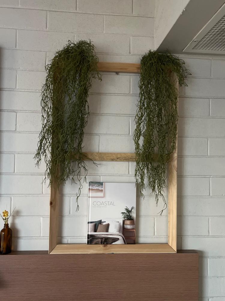 Artificial Hanging Air Plant Spanish Moss 