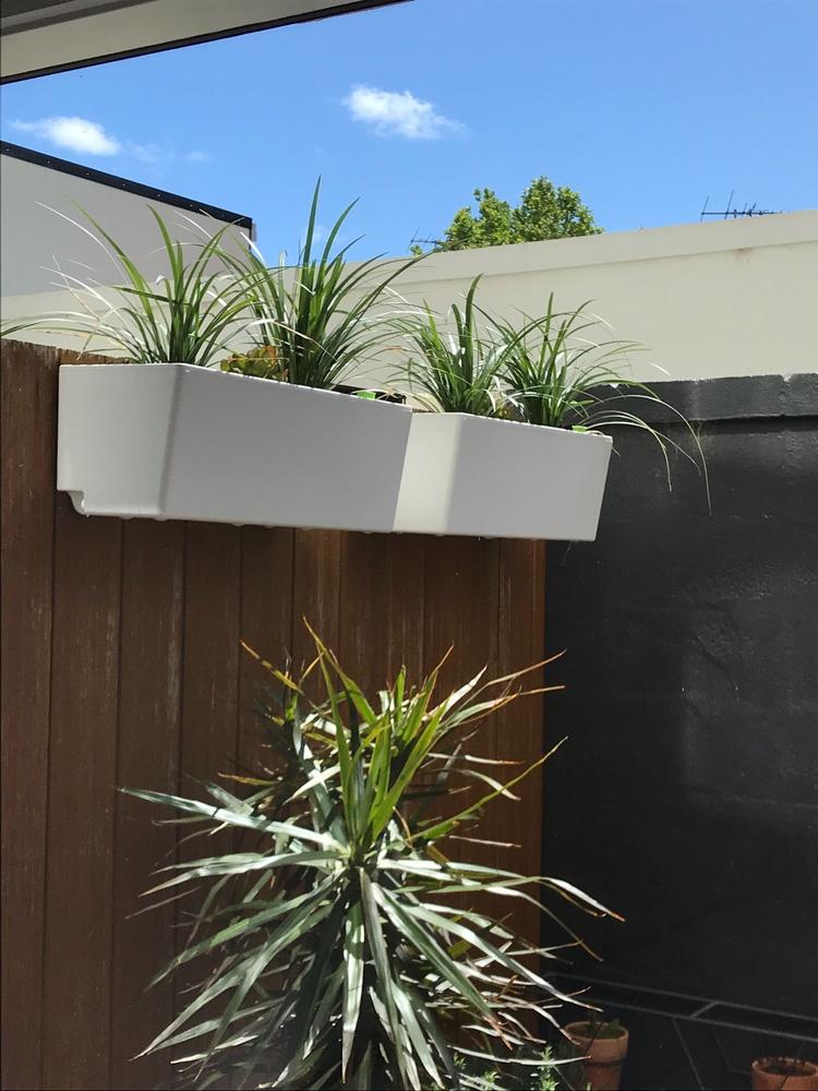 Glowpear Mini Rail Self Watering Balcony Railing Planter Box - Customer Photo From Elizabeth G.