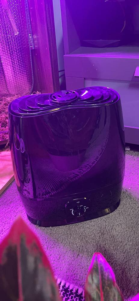 Ultrasonic Cool Mist Humidifier 6L - Customer Photo From Kiki