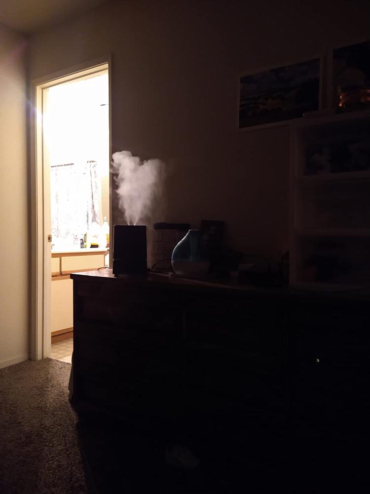Ultrasonic Cool Mist Humidifier 4L - Customer Photo From lin family