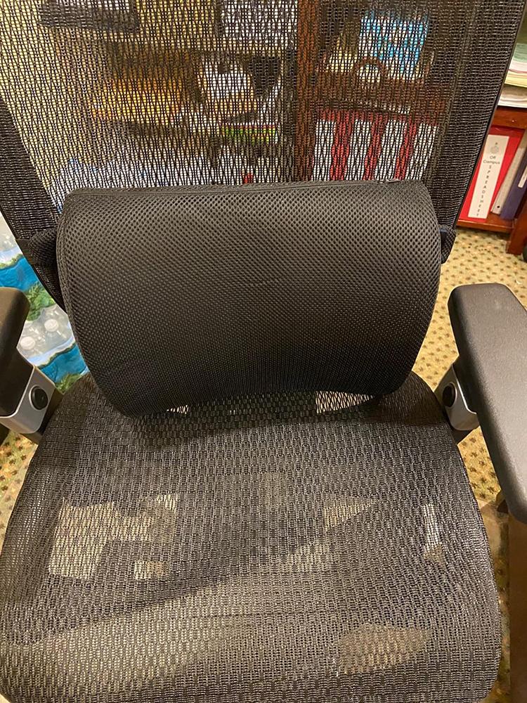 Lumbar Support Pillow Everlasting Comfort