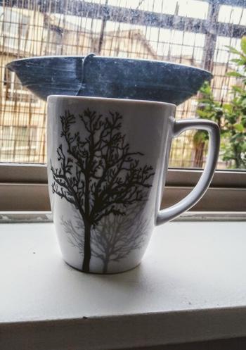 Cupán Tae Storm In a Teacup Review