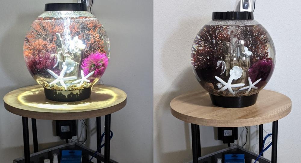 biOrb Classic 15L / 4 Gallon All-in-One Acrylic Aquarium Kit with LED Light - Customer Photo From Anonymous