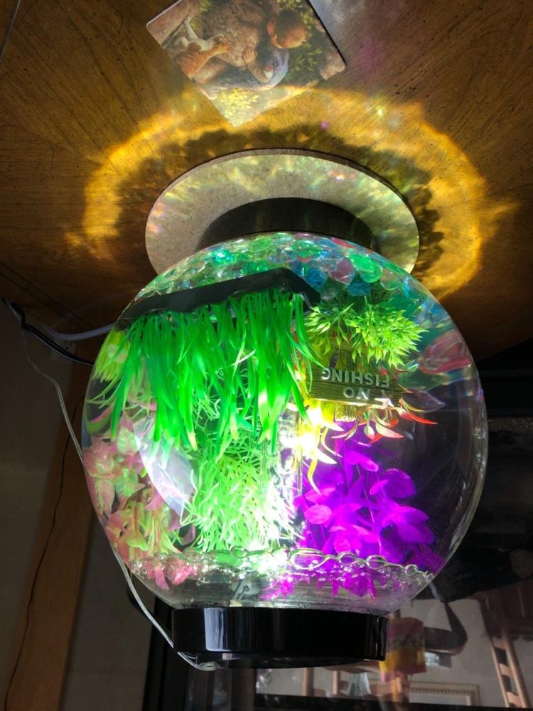biOrb Classic 15L / 4 Gallon All-in-One Acrylic Aquarium Kit with LED Light - Customer Photo From Ruth Back